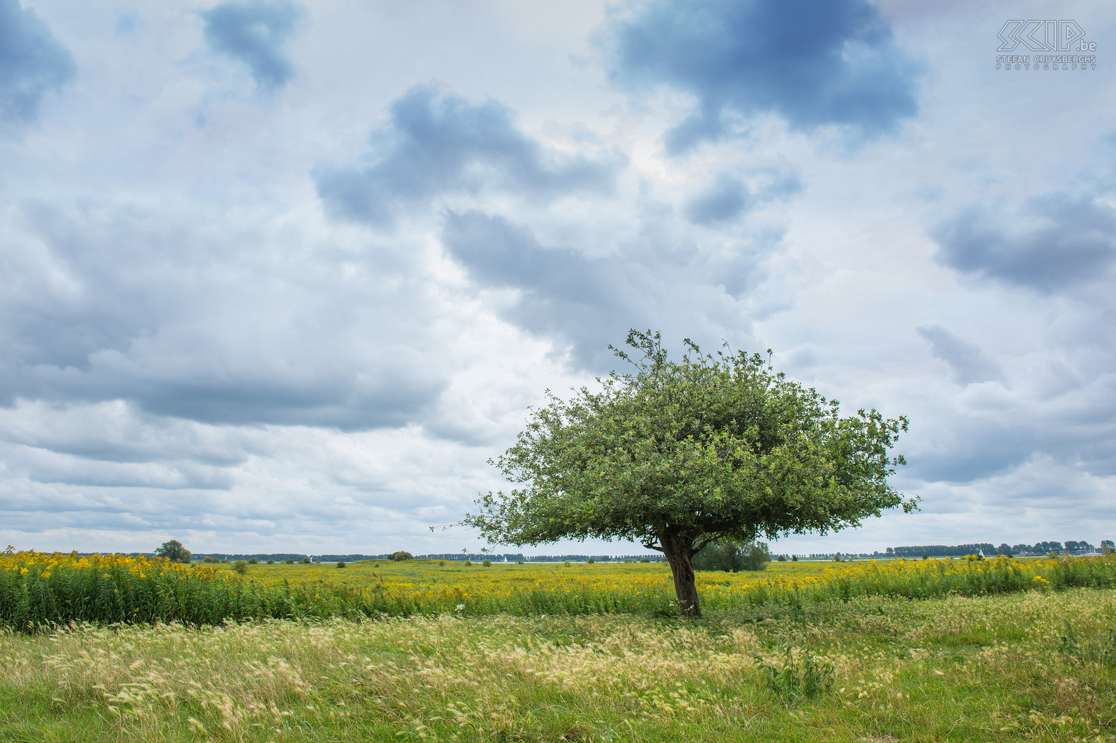 Tiengemeten Foto’s van een weekendje wandelen op het natuureilandje Tiengemeten in Noord-Holland. In 2006 werd Tiengemeten omgevormd van landbouwgrond naar natuur en nu staat het vol met wilde bloemen, zijn er vele wondermooie velden met gele guldenroede, grazen er semi-wilde Schotse hooglanders en zijn ook watervogels er talrijk. Stefan Cruysberghs